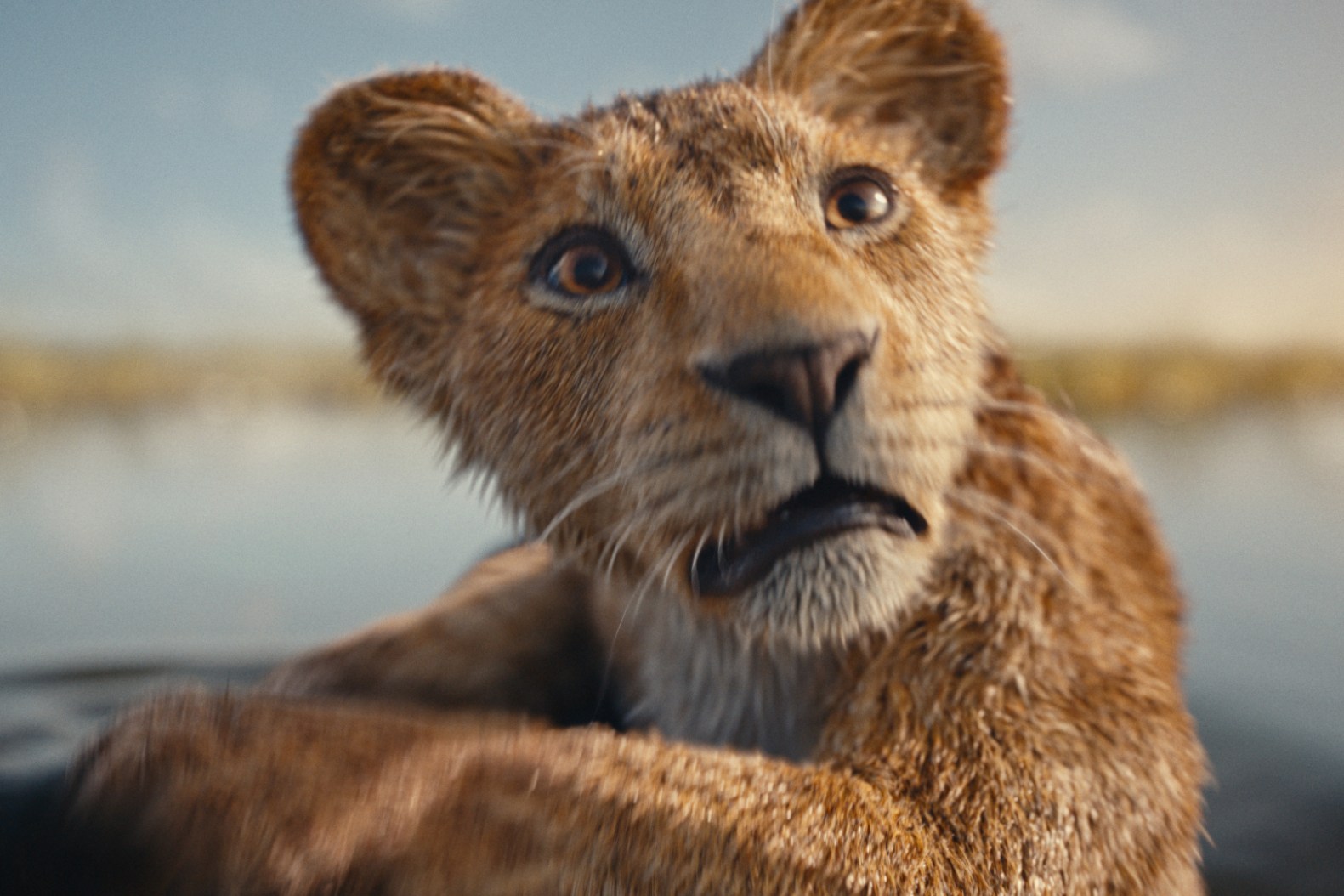 MUFASA The lion king arrives with adventurous trailer?